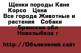 Щенки породы Кане-Корсо › Цена ­ 25 000 - Все города Животные и растения » Собаки   . Брянская обл.,Новозыбков г.